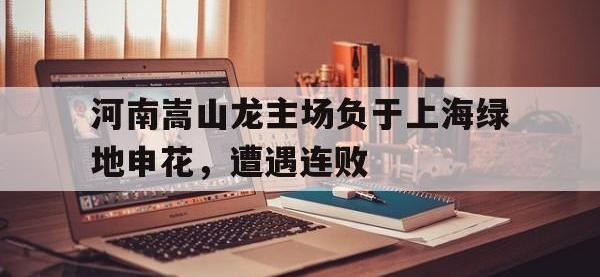 开云体育游戏-河南嵩山龙主场负于上海绿地申花，遭遇连败