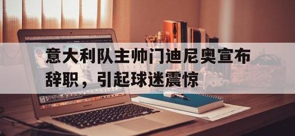 开云web网站-意大利队主帅门迪尼奥宣布辞职，引起球迷震惊