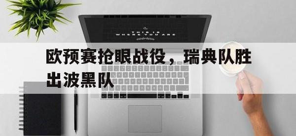 开云web网站-欧预赛抢眼战役，瑞典队胜出波黑队