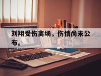 开云娱乐-刘翔受伤离场，伤情尚未公布。