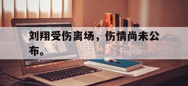 开云娱乐-刘翔受伤离场，伤情尚未公布。