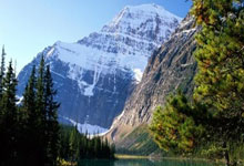 开云体育游戏-哈登连续七场比赛得分超过大比分获胜，拜仁不断突破！的简单介绍