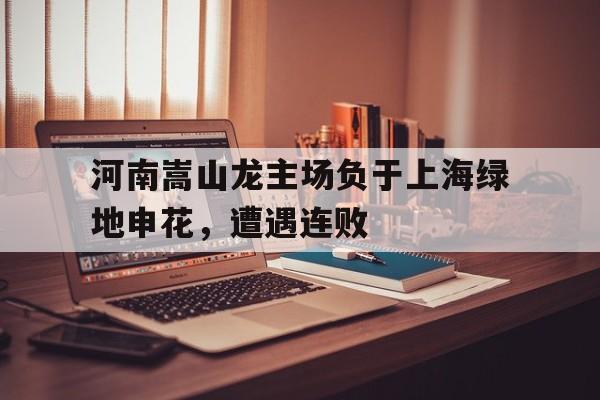 河南嵩山龙主场负于上海绿地申花，遭遇连败