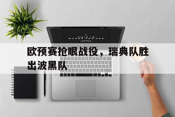 欧预赛抢眼战役，瑞典队胜出波黑队